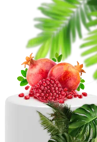 تخفیفات شب یلدای 1404