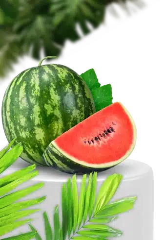 تخفیفات شب یلدای
